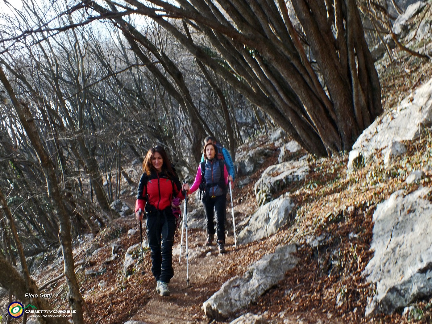 79 Sul sentiero 571 nel bosco.JPG